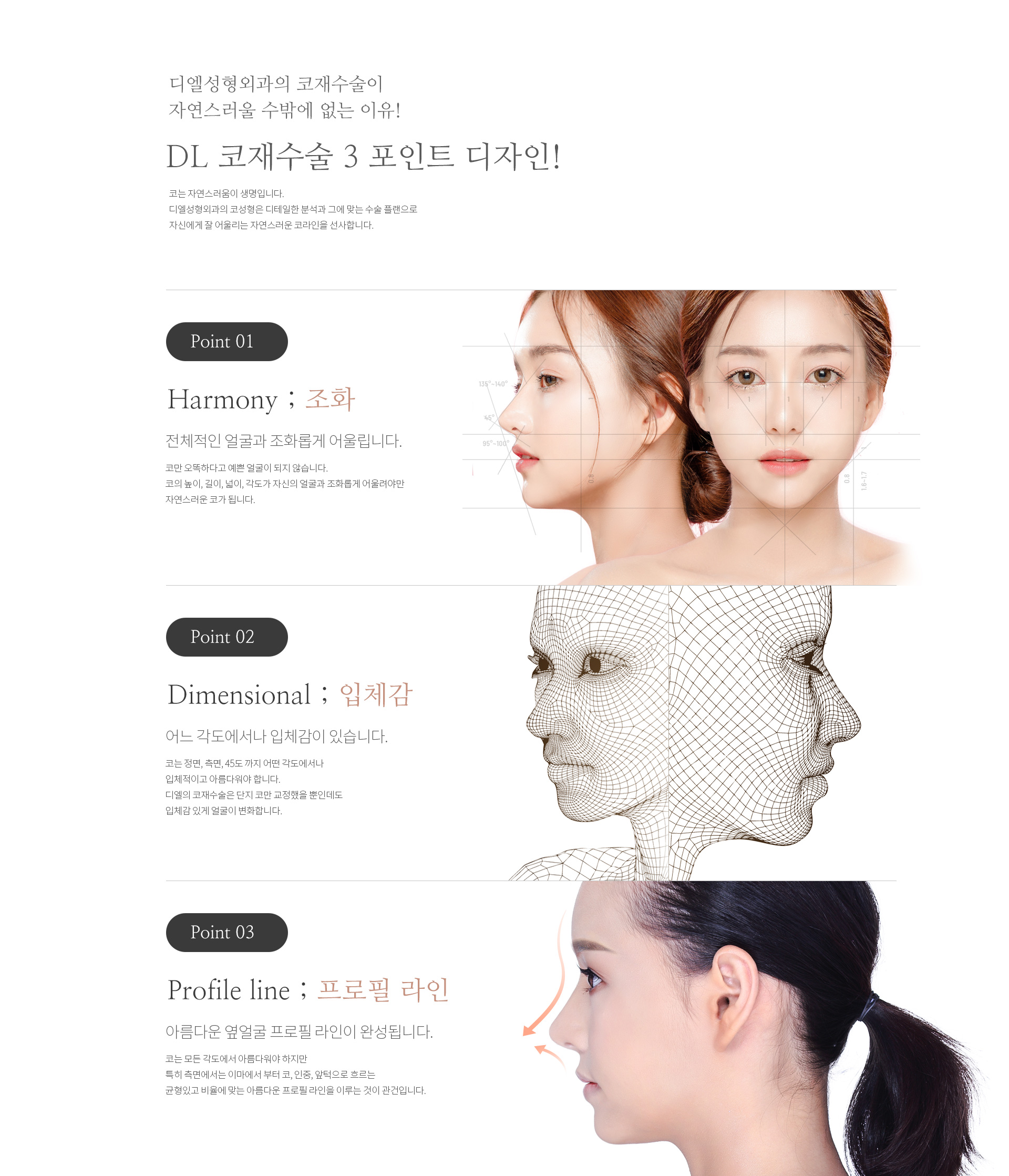 DL 코재수술 3 포인트 디자인