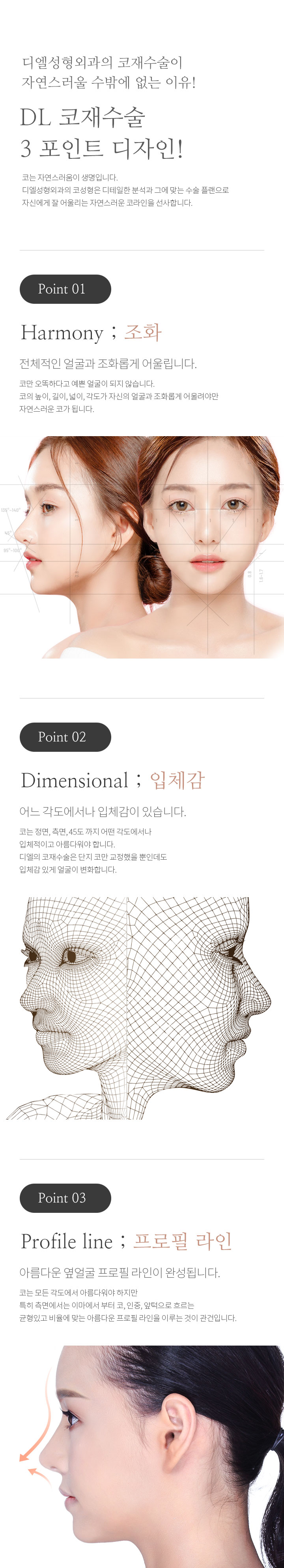 DL 코재수술 3 포인트 디자인